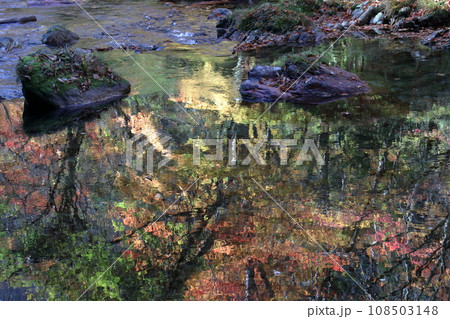 逆さ紅葉を眺める　小田深山渓谷　(愛媛県） 108503148