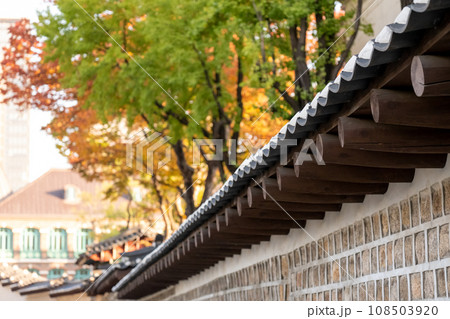 Deoksugung Stonewall Walkway with beautiful autumn foliage. It is the pedestrian footpath that runs next to Deoksugung Palace in Seoul, South Korea Deoksugung Stonewall Walkway with beautiful autumn foliage. It is the pedestrian footpath that runs next to Deoksugung Palace in Seoul, South Korea 108503920
