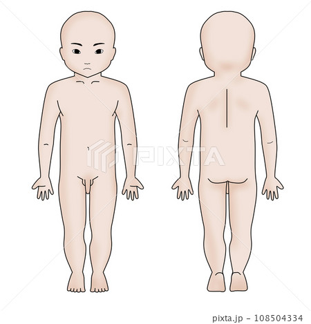 小児男児全身シェーマ図　顔有り　カラー 108504334