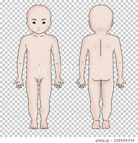 小児男児全身シェーマ図　顔有り　カラー 108504334