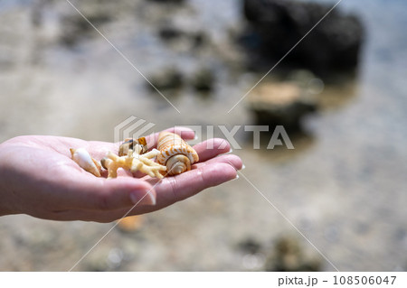 Image photo 108506047