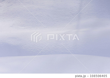 真冬の原生林雪景色 108506405