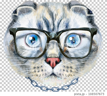 メガネ・老眼鏡 The Black Cat SCOTTISH FOLD glasses The Black Cat SCOTTISH FOLD glasses
