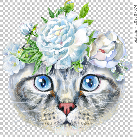 Lovely closeup portrait of scottish fold cat in a wreath of flowers. Hand drawn water colour painting on white background Lovely closeup portrait of scottish fold cat in a wreath of flowers. Hand drawn water colour painting on white background 108507674