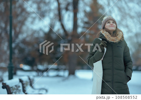 smiling modern female outdoors in city park in winter smiling modern female outdoors in city park in winter 108508552