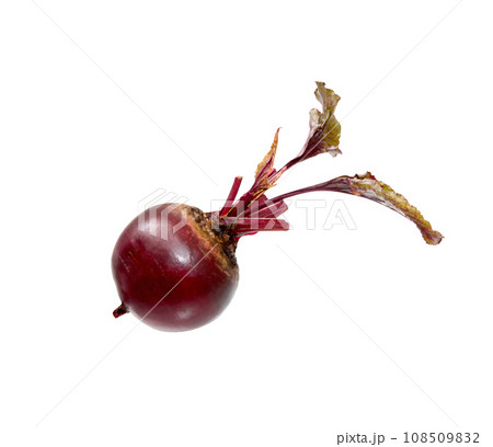 Beetroot with leaves, fresh whole beet isolated 108509832