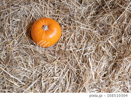 Pumpkins Halloween Decoration, Squash Farm, Orange Thanksgiving Vegetables Pile on Grass, Autumn Loan 108510304