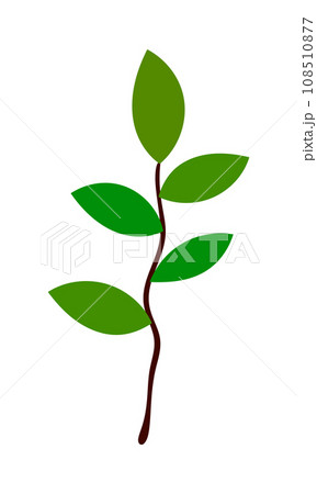 Branch Of Tree Branch Of Tree 108510877