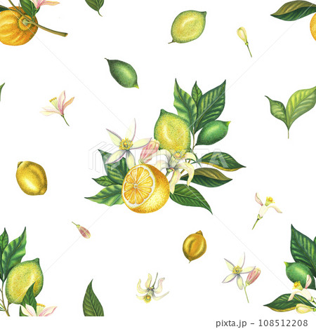 Watercolor seamless pattern with blooming lemons and lime branch with leaves, pink flowers, cut lemon and green lemon. Hand painted yellow fruits and flower isolated on white background. Fresh citrus 108512208