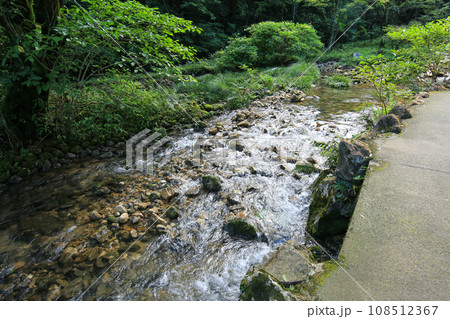 山口県美祢市　秋芳洞入口の風景 108512367