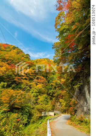 《長野県飯田市・南信州》日本のチロル「下栗の里」の紅葉 108513074