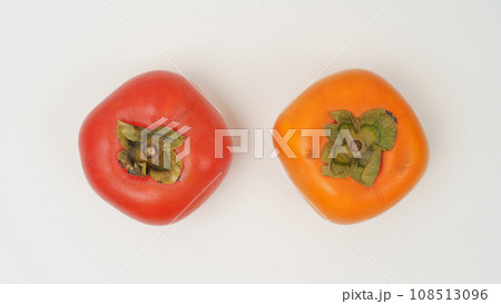 熟れた柿と通常の柿 比較 熟れた柿と通常の柿 比較 108513096