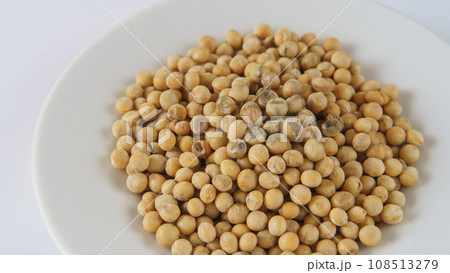 カビの生えてしまった大豆 108513279