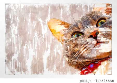 スケッチ風 猫 ネコ ねこ キジトラ グレー 雌 メス 雌ねこ 雌ネコ 元気 かわいい 癒し スケッチ風 猫 ネコ ねこ キジトラ グレー 雌 メス 雌ねこ 雌ネコ 元気 かわいい 癒し 108513336
