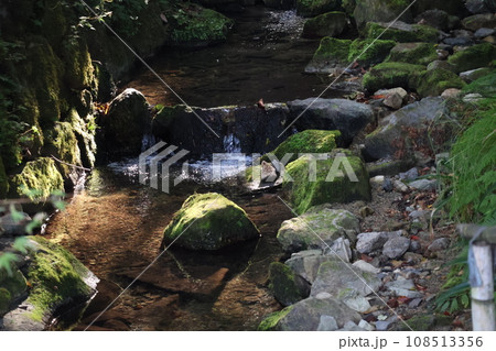 緑の苔の生えた石に光りのあたるきれいな水の川の風景 緑の苔の生えた石に光りのあたるきれいな水の川の風景 108513356