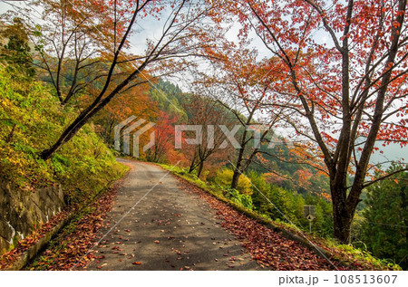 《長野県飯田市・南信州》日本のチロル「下栗の里」の紅葉 《長野県飯田市・南信州》日本のチロル「下栗の里」の紅葉 108513607