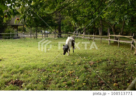秋の遠野ふるさと村 108513771