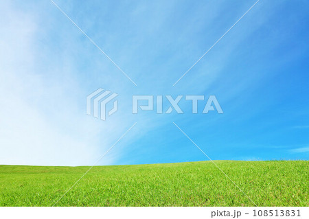 秋の青空と綺麗な草原風景 108513831