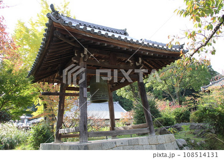 紅葉に包まれた明日香村橘寺参道 紅葉に包まれた明日香村橘寺参道 108514131