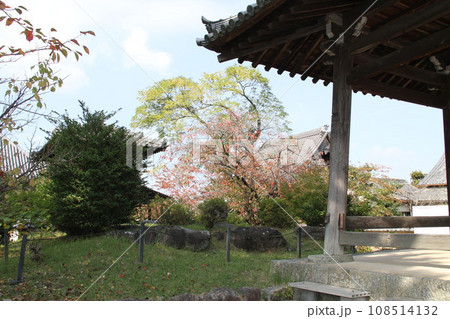 紅葉に包まれた明日香村橘寺参道 108514132