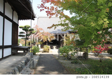紅葉に包まれた明日香村橘寺参道 紅葉に包まれた明日香村橘寺参道 108514139