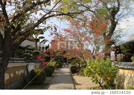 紅葉に包まれた明日香村橘寺参道 108514150
