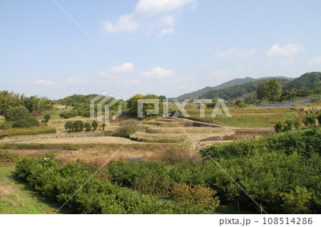明日香村高松塚古墳から眺める秋の風景 明日香村高松塚古墳から眺める秋の風景 108514286