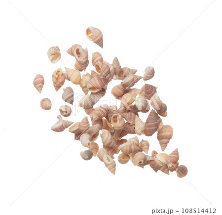 Seashell fall splashing in air. sea shell explosion flying, abstract cloud fly. Many Small pink Seashell scatter in many group. White background isolated high speed shutter freeze motion 108514412