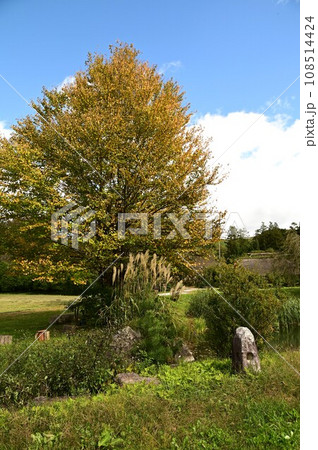 秋の遠野ふるさと村 108514424