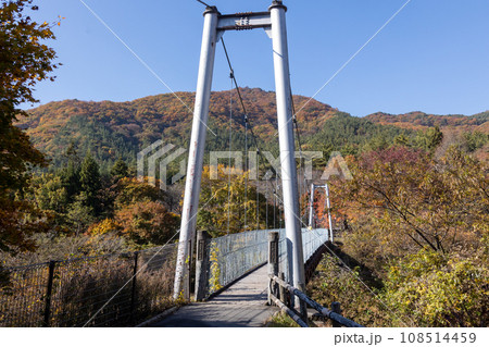 秋の赤城森林公園 ふれあいの森 ふれあいの橋 秋の赤城森林公園 ふれあいの森 ふれあいの橋 108514459