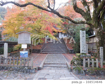 安楽寺門前の紅葉!京都市左京区 安楽寺門前の紅葉!京都市左京区 108514646