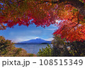 富士河口湖からの冠雪した富士山と紅葉 108515349