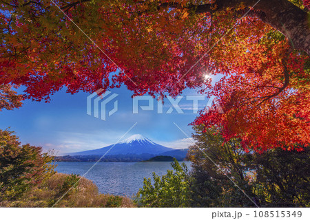 富士河口湖からの冠雪した富士山と紅葉 108515349