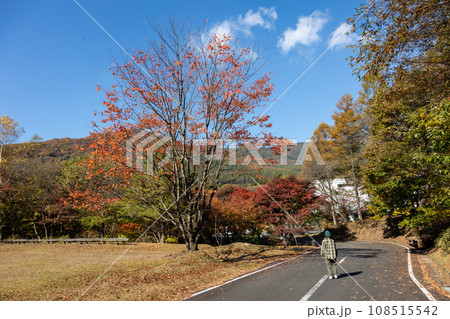 秋の赤城森林公園 群馬県前橋市 秋の赤城森林公園 群馬県前橋市 108515542