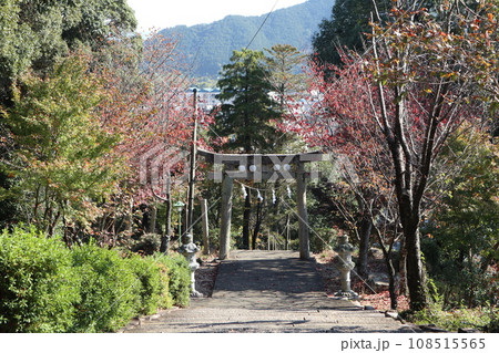 紅葉に包まれた山口熊野神社 紅葉に包まれた山口熊野神社 108515565