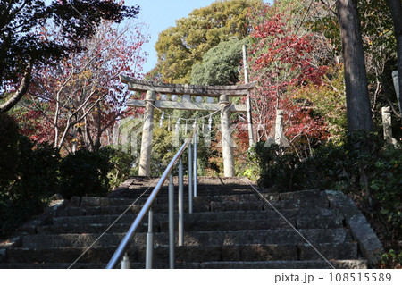 紅葉に包まれた山口熊野神社 108515589