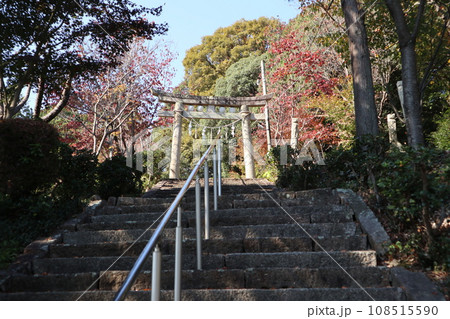 紅葉に包まれた山口熊野神社 108515590