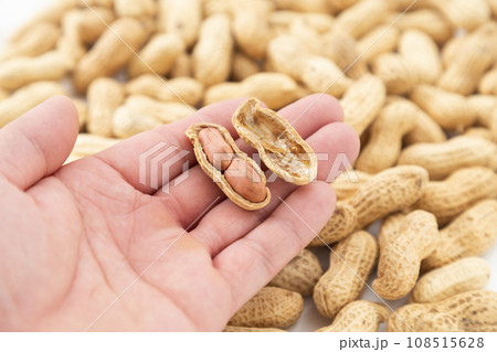 落花生を持つ男性手元 落花生を持つ男性手元 108515628