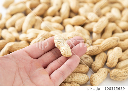 ピーナッツを持つ男性手元 ピーナッツを持つ男性手元 108515629
