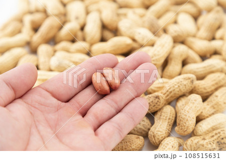 落花生を持つ男性手元 108515631