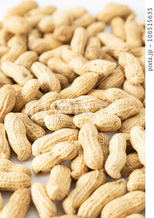 落花生　物撮り 108515635
