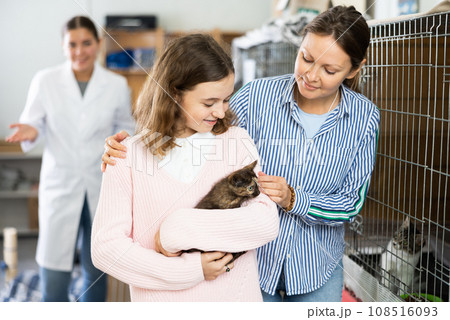 Tween girl with mom holding adopted kitten in animal shelter 108516093