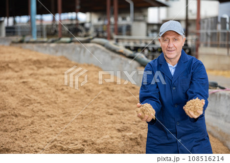 Male farmer with bunch of soy husks in his hands Male farmer with bunch of soy husks in his hands 108516214