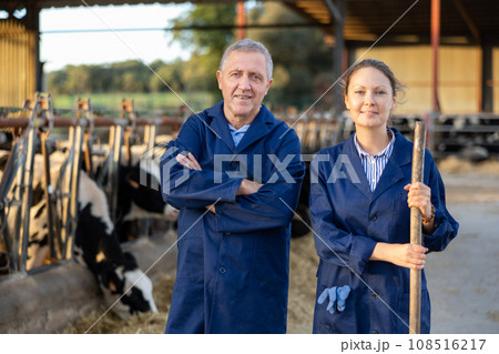 Aged farmer posing with adult daughter in cowshed at family farm 108516217
