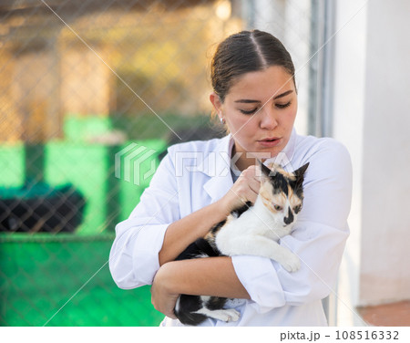 Female volunteer standing with tricolor cat in outdoor shelter 108516332