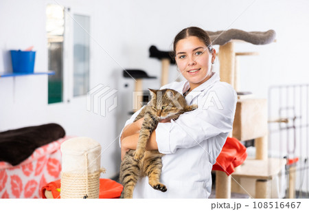 Female worker of animal shelter holding gray cat in arms Female worker of animal shelter holding gray cat in arms 108516467