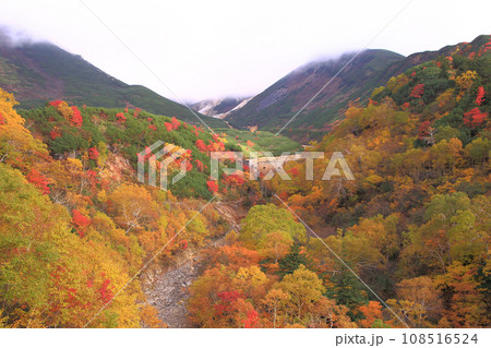 紅葉の安政火口 紅葉の安政火口 108516524