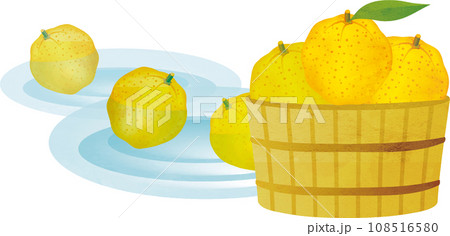 桶に入ったゆずの水彩画　イラスト素材 108516580