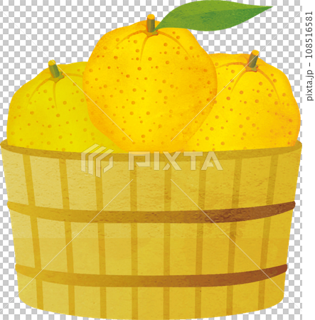 桶子裡的柚子水彩畫插畫素材 108516581