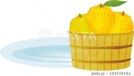 桶に入ったゆずの水彩画　イラスト素材 108516582